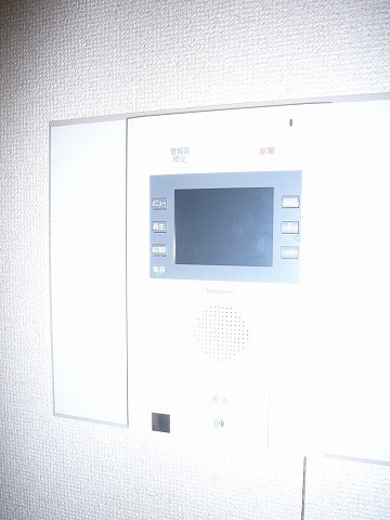 Security. TV monitor phone of peace of mind