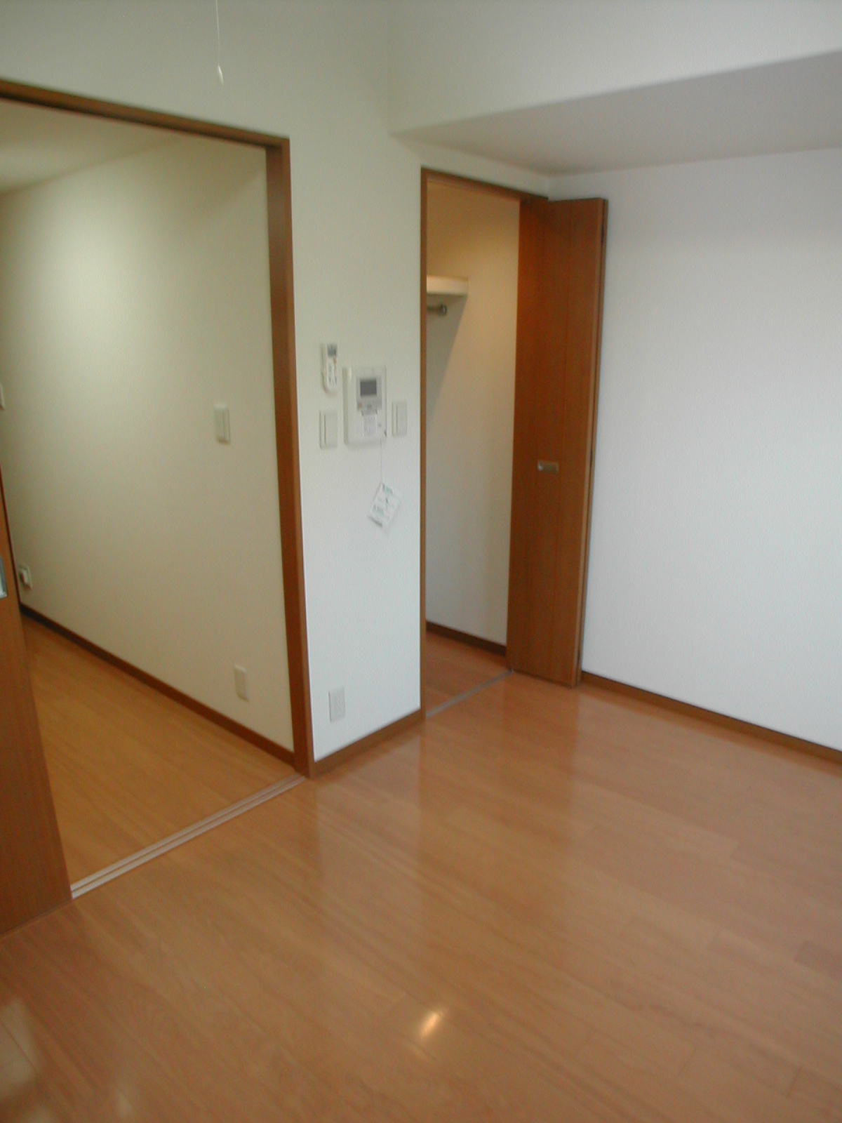 Living and room. It has beautiful hanging wax! 