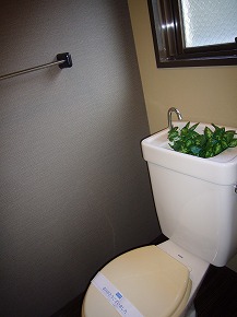 Toilet. Bright toilet comes with a window