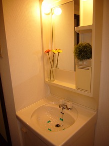 Washroom. Independent wash basin