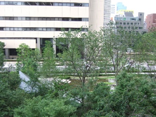 View. View from the balcony