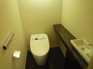 Toilet. With hand washing counter