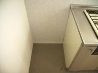 Kitchen. Refrigerator yard