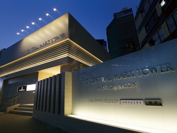 The appearance of the apartment Salon