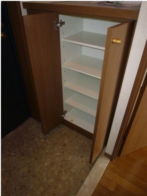 Entrance. Shoes BOX!