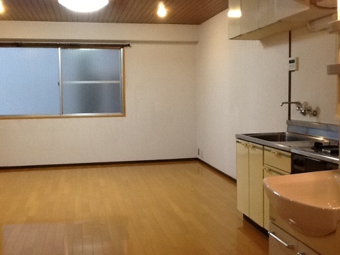 Living and room. Living