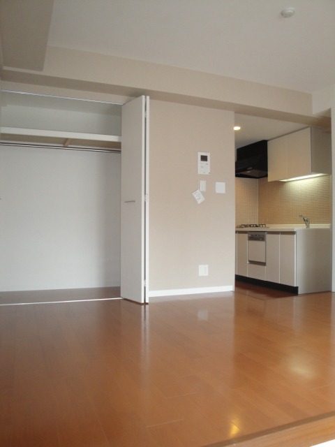 Living and room. Room with cleanliness! 