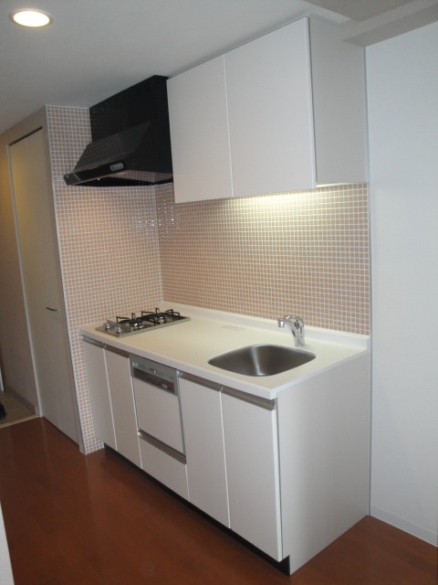 Kitchen. Dishwasher system two-necked Gasukitchin! ! 