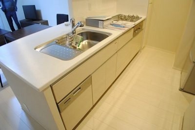 Kitchen. Gas stove 3-neck grill Dishwasher disposer