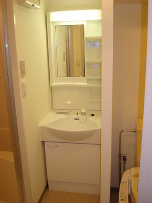 Washroom. Shampoo dresser