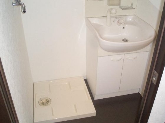 Washroom. With shampoo dresser!