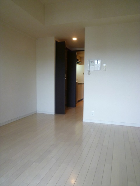 Living and room. Sound insulation flooring adoption!