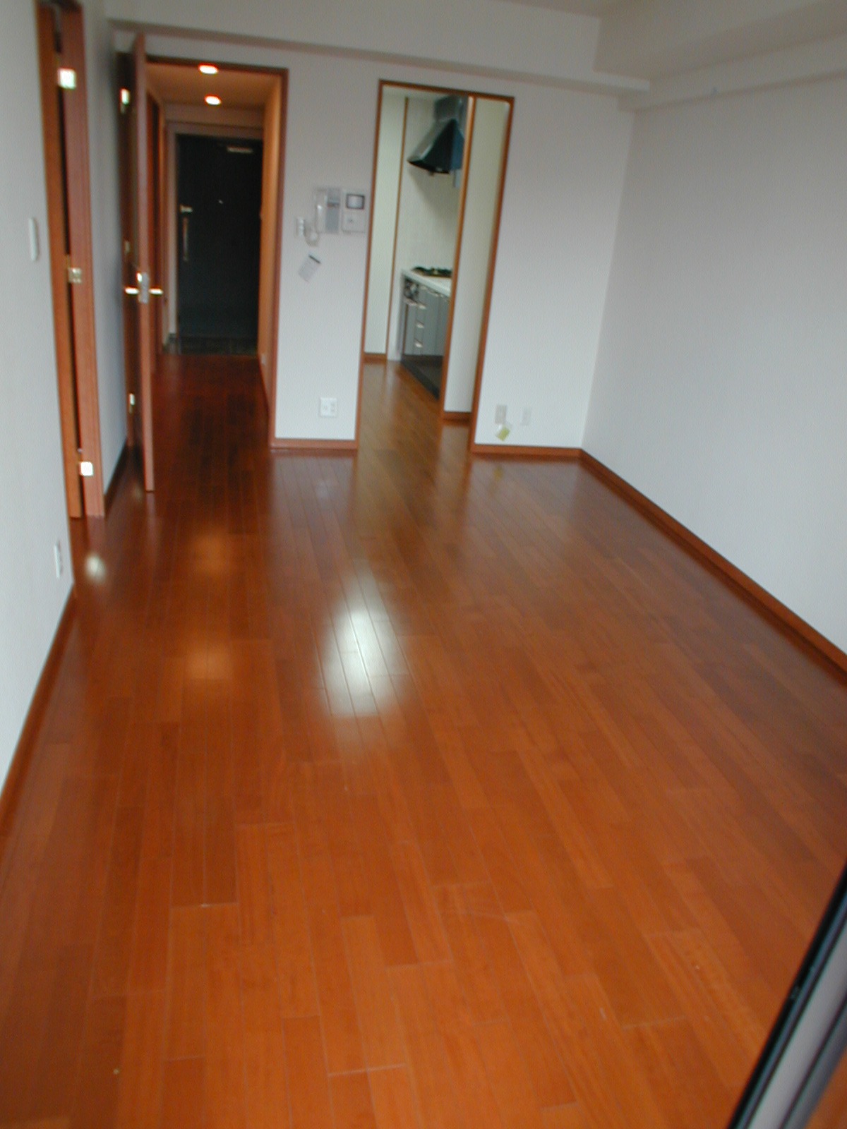 Living and room. Sound insulation free ring adopt shiny! !