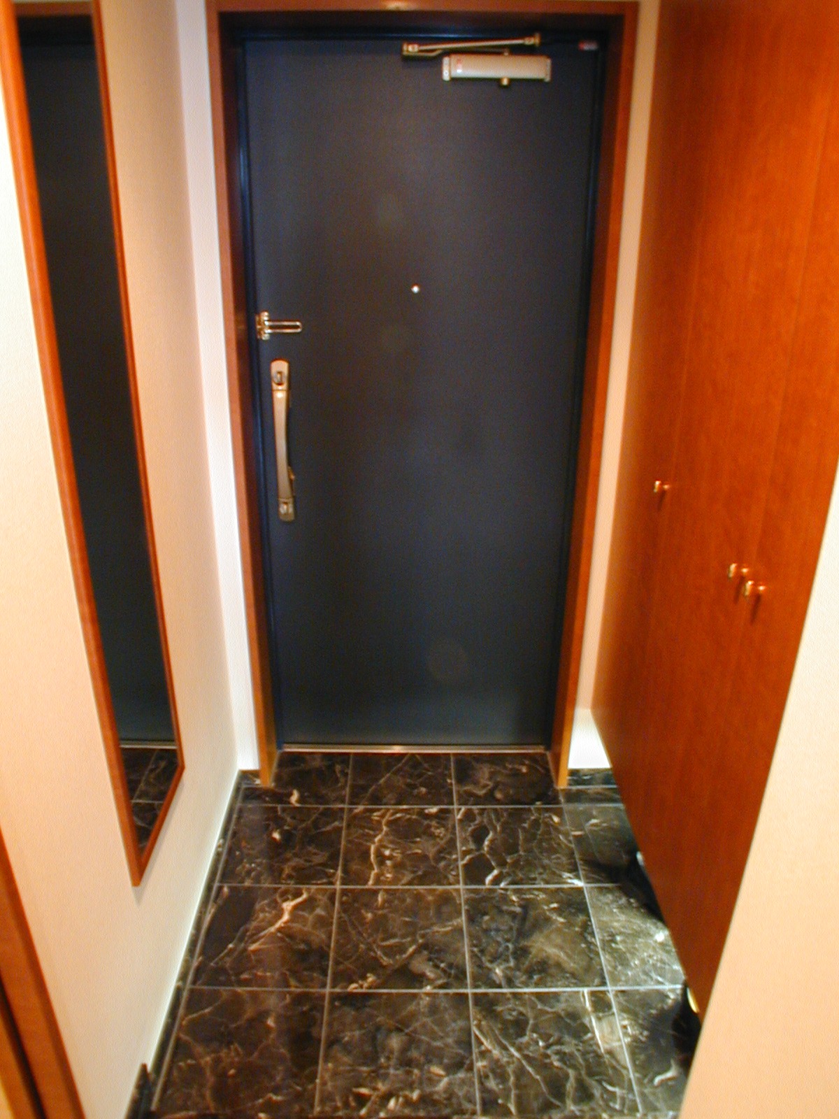 Entrance. Marble paste of entrance! !