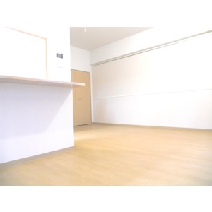 Living and room. Western-style as seen from the living room