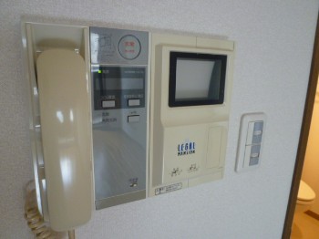 Security. Intercom with TV monitor