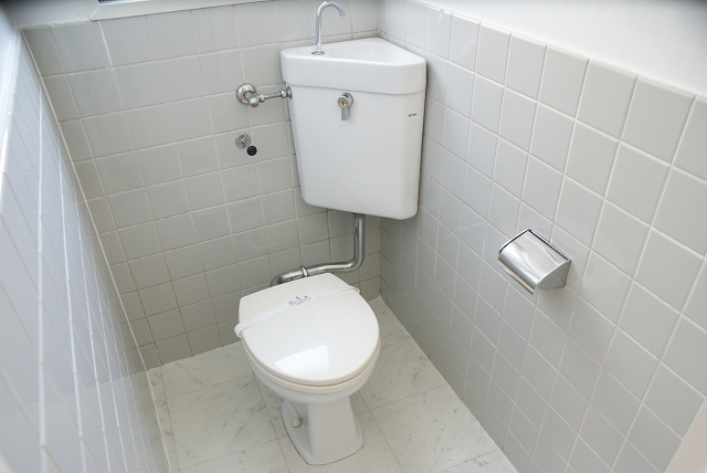 Toilet. Window There daylighting