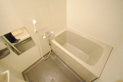 Bath. Spacious bathroom. It is good also to the sitz bath. 