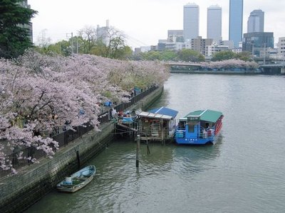 park. Sakuranomiya 600m to the park (park)