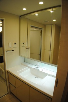 Washroom. Wash basin Shampoo dresser