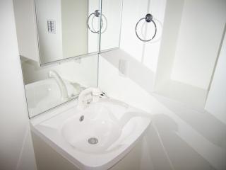 Washroom. Shampoo dresser