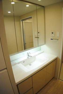 Washroom. Wash basin Shampoo dresser