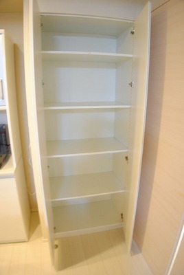 Living and room. Living storage