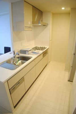 Kitchen. System kitchen