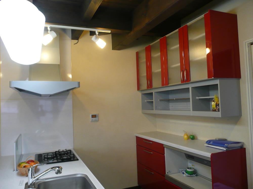 Kitchen. Red point dishwasher with a system kitchen (12 May 2013) Shooting