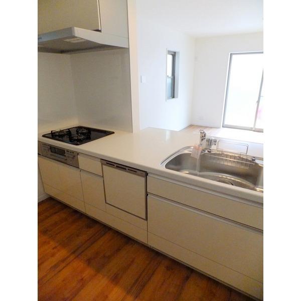 Kitchen. Dishwasher system Kitchen