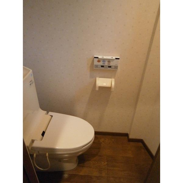 Toilet. Glad Washlet toilet
