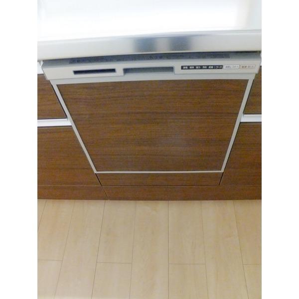 Other introspection. Fully equipped with dishwasher