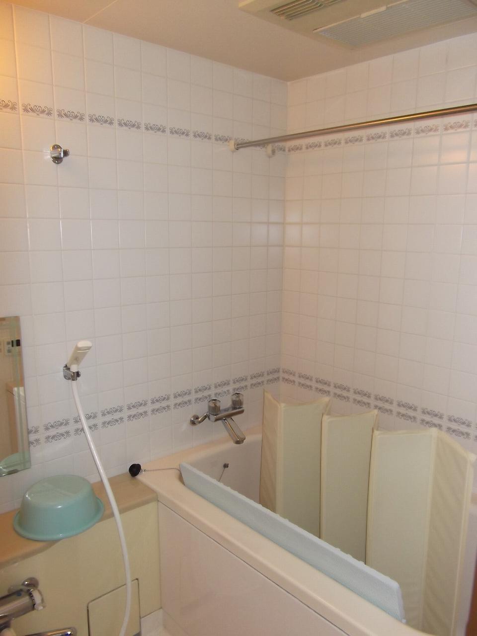 Bathroom. Indoor (11 May 2013) Shooting