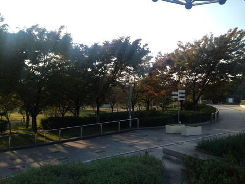 park. Until Yahataya park 550m 6-minute walk