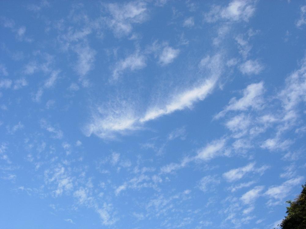 Other local. December 2013 local shooting