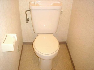 Toilet. Toilet