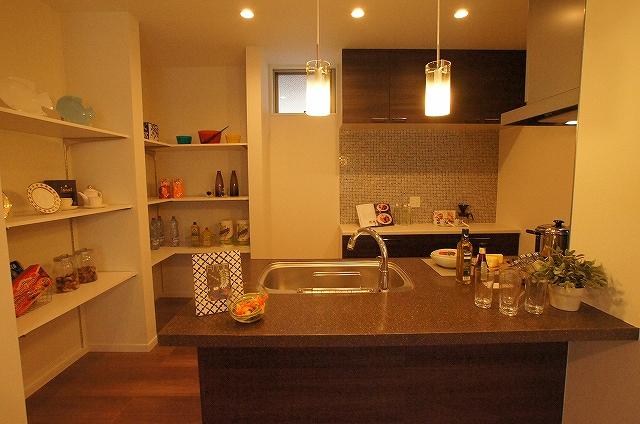 Kitchen. Model house