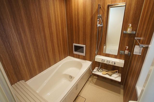 Bathroom. Model house