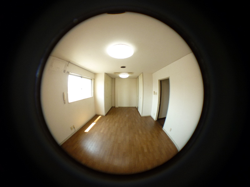 Living and room. Western-style 12 Pledge