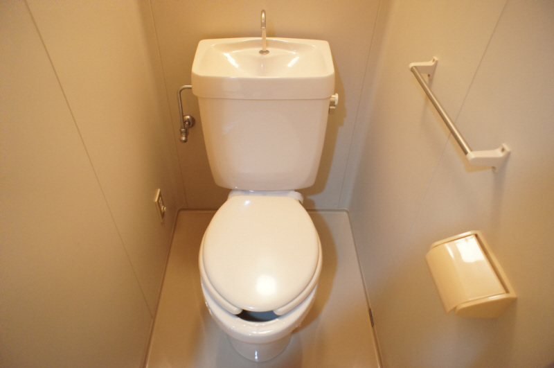 Toilet. Bath toilet separate type