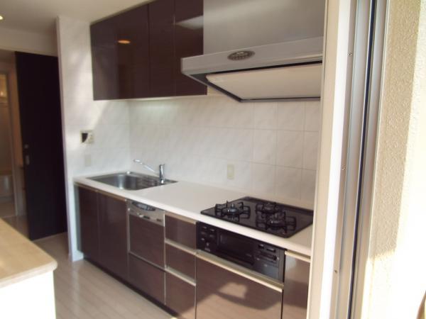 Kitchen. Cleaning Easy dishwasher washer systems with a kitchen in glass top stove
