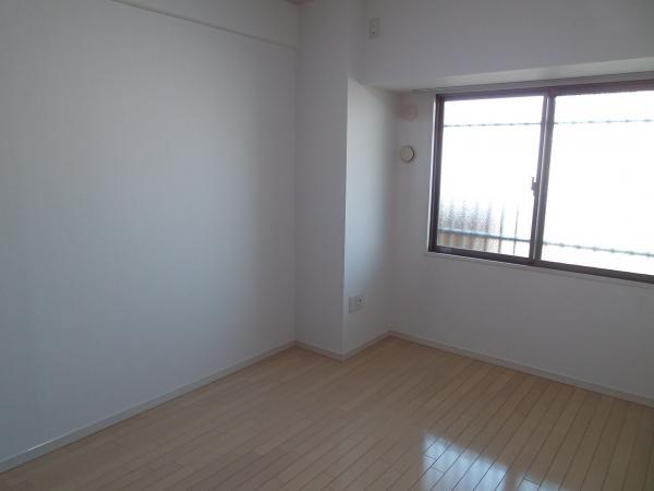 Other introspection. Western style room