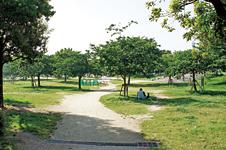 Other local. Green some landscape