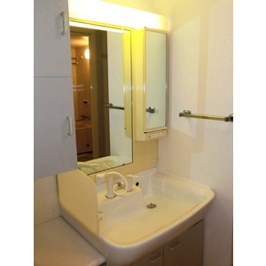 Washroom. Wash basin