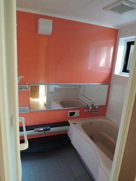 Bathroom. Vitamin orange panel of color. We will continue flying tired of the day.