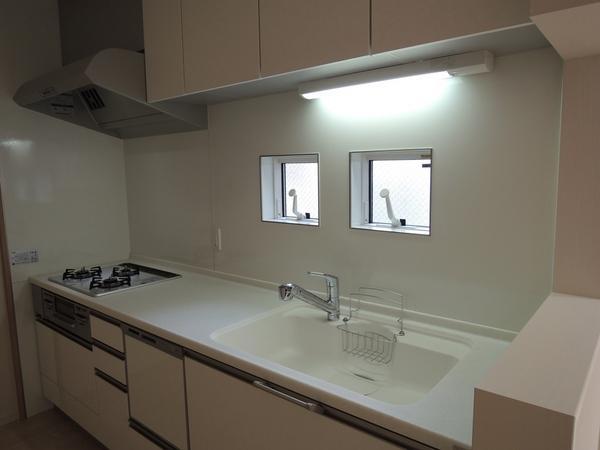 Kitchen. Dishwasher, With water purifier. Cute small window