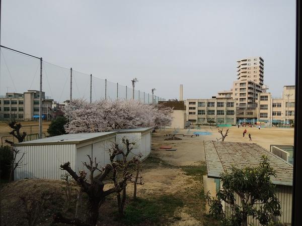 View photos from the dwelling unit. North side elementary school. Can you see the cherry blossoms.