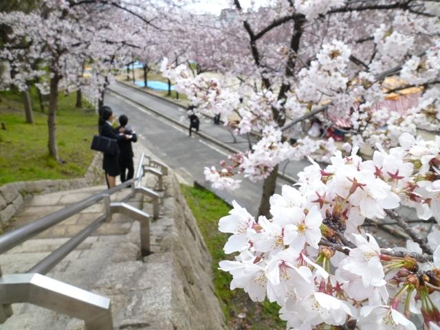 park. 150m until Kema Sakuranomiya park