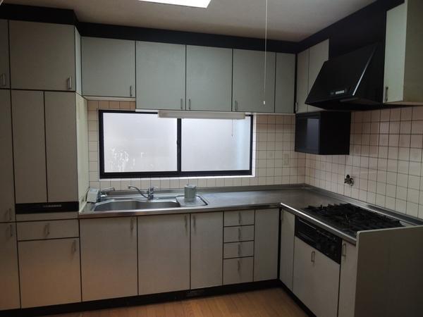 Kitchen. L-shaped kitchen. Dishwasher, With water purifier. 