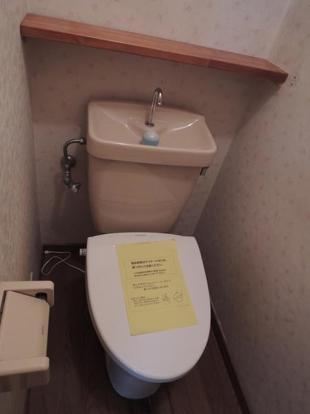 Toilet. Second floor toilet. There is little shelf. You can put even toilet paper. 